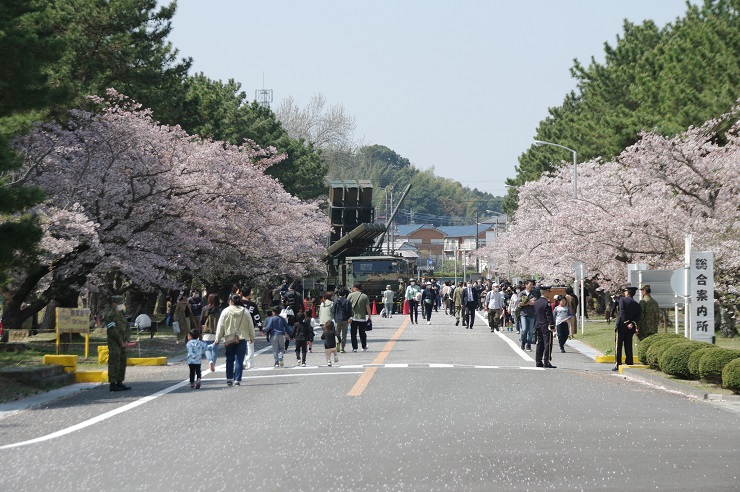 土浦駐屯地内の桜並木