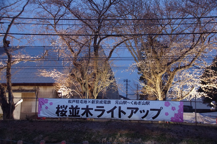 松戸駐屯地桜並木ライトアップ
