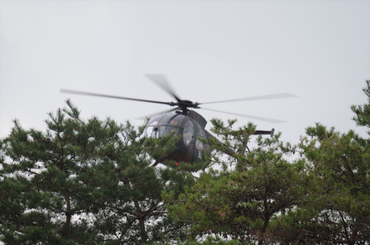 OH-6D飛来
