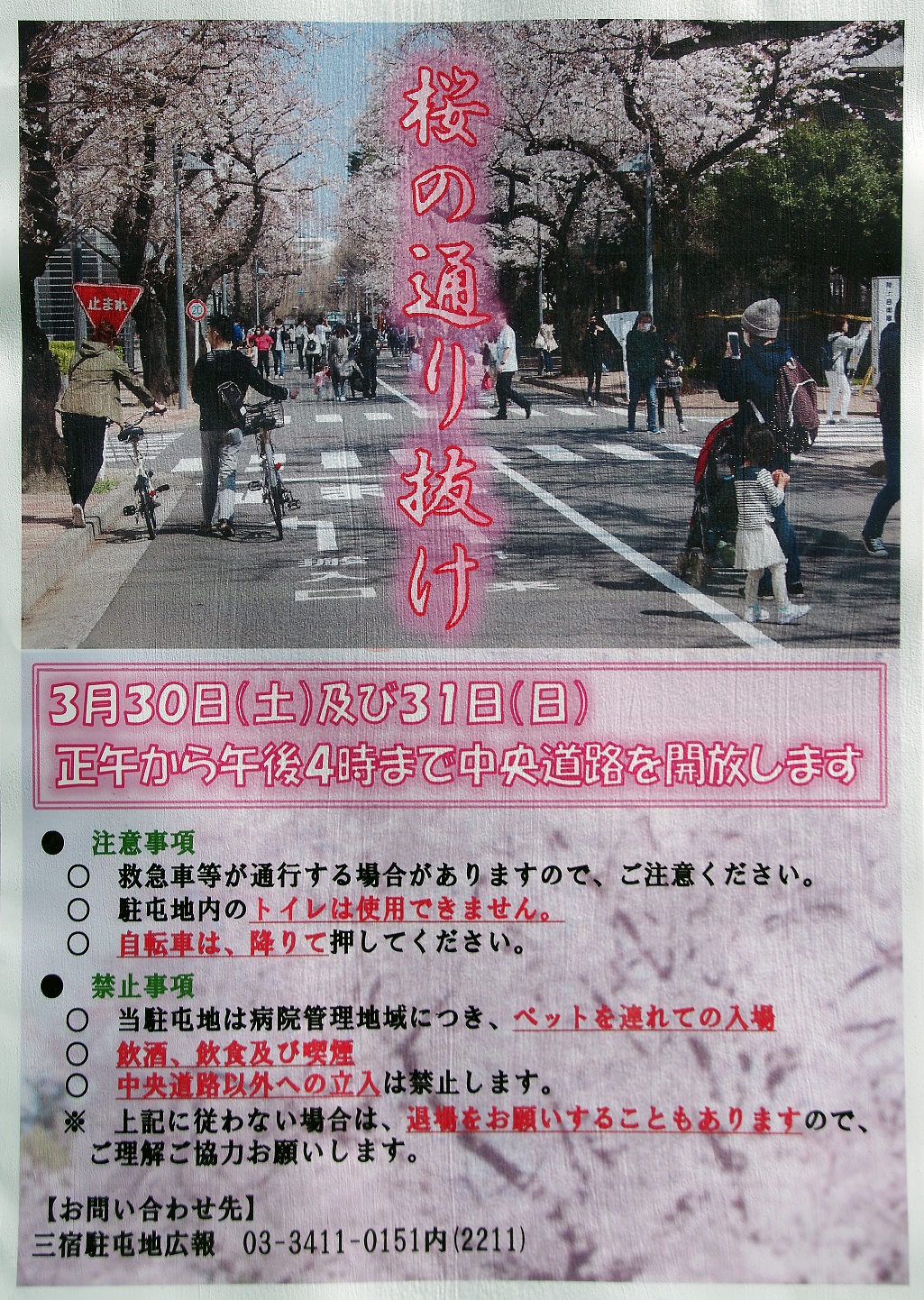 三宿駐屯地桜の通り抜けポスター