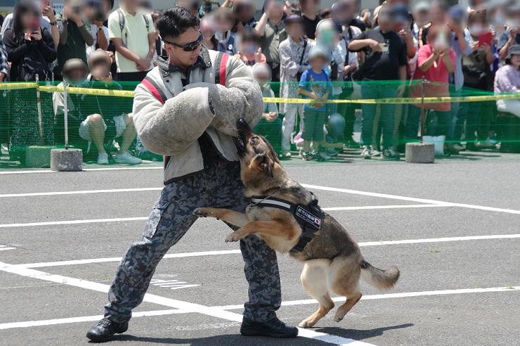 警備犬訓練展示