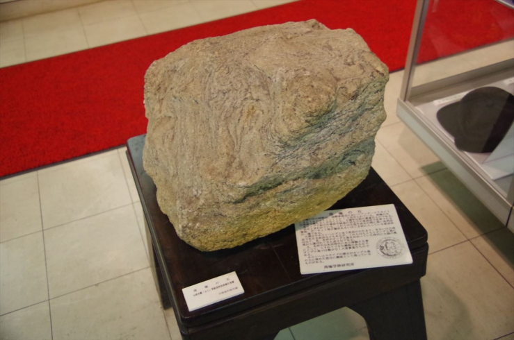 防衛資料館：南極の石
