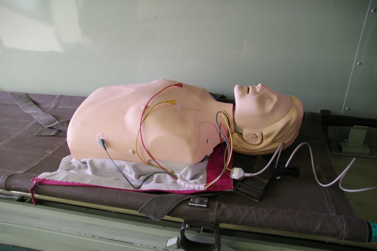 心肺蘇生法訓練人形