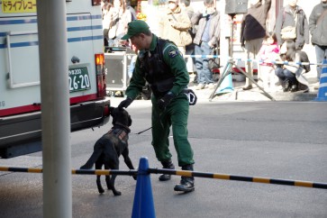 H30吉祥寺テロ対策合同訓練｜爆発物探知犬による路線バス捜索